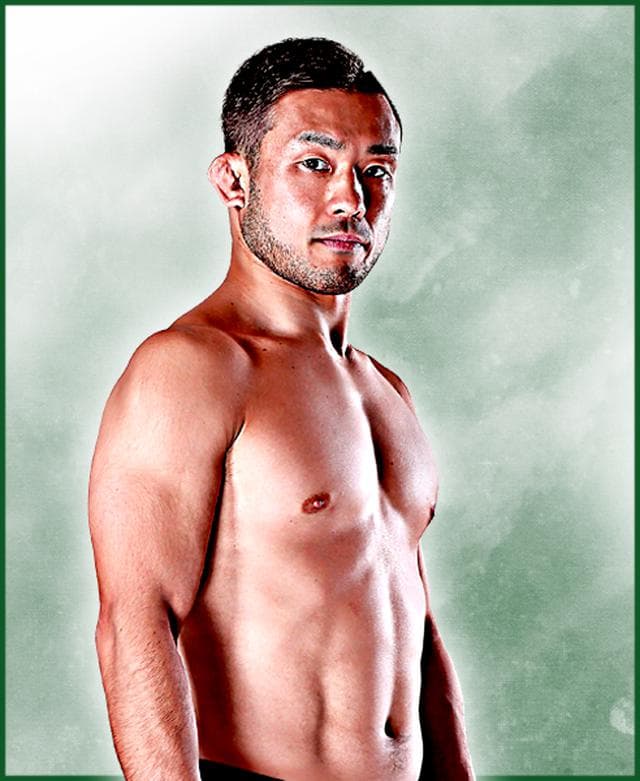 fighter image