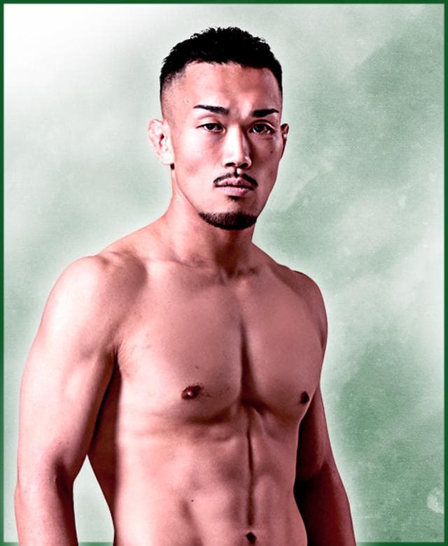 fighter image