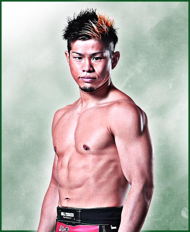 fighter image