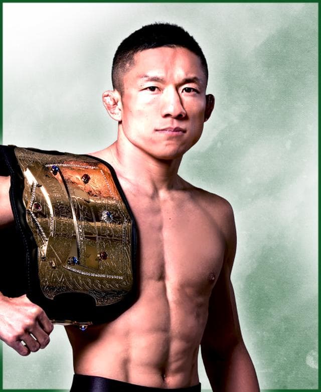 fighter image