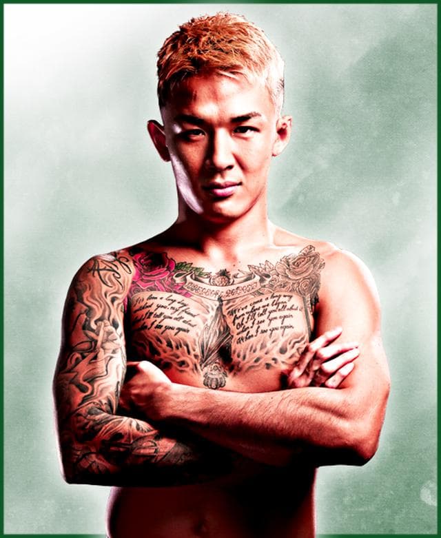 fighter image