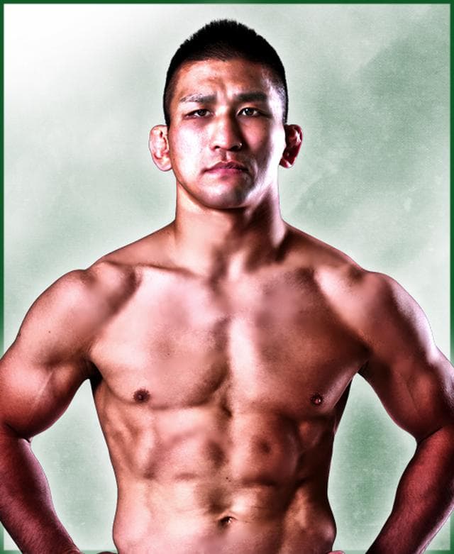 fighter image