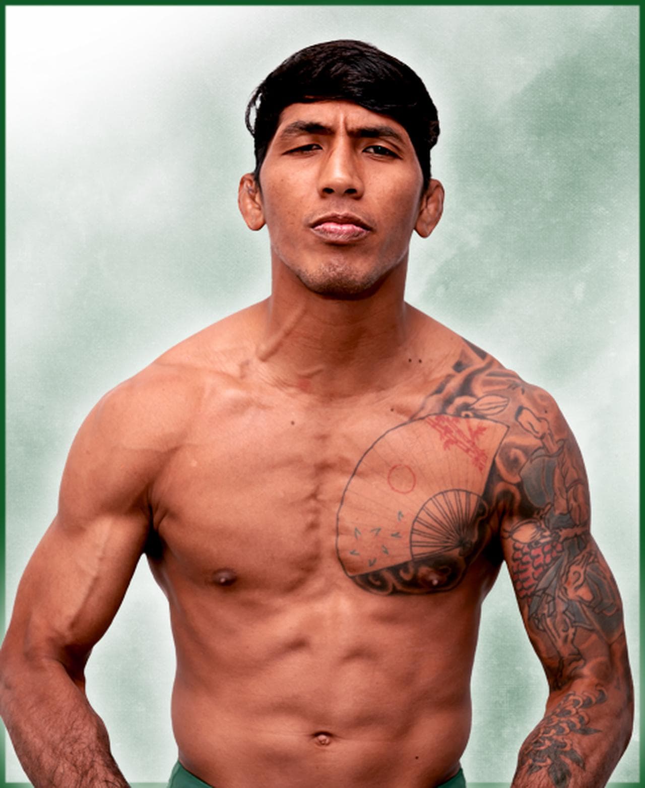 fighter image