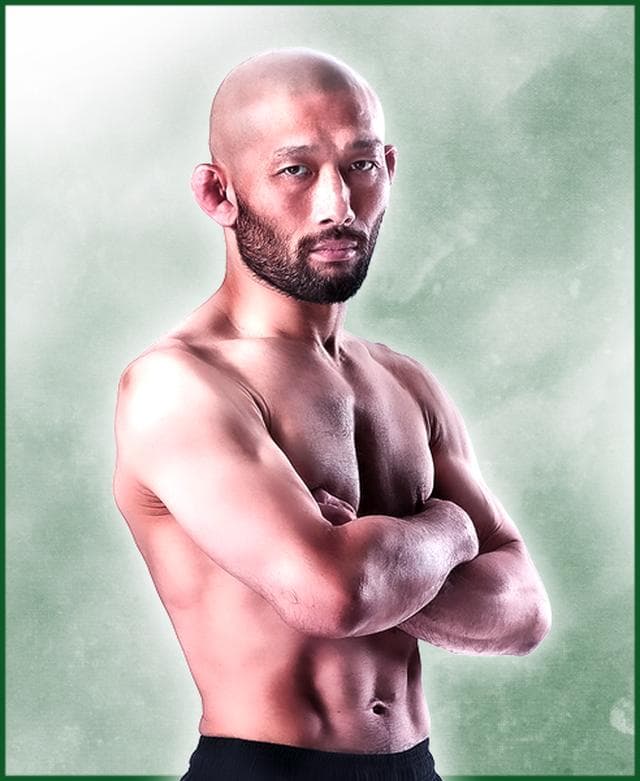fighter image