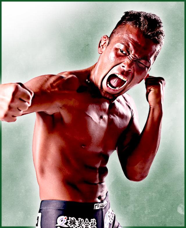 fighter image