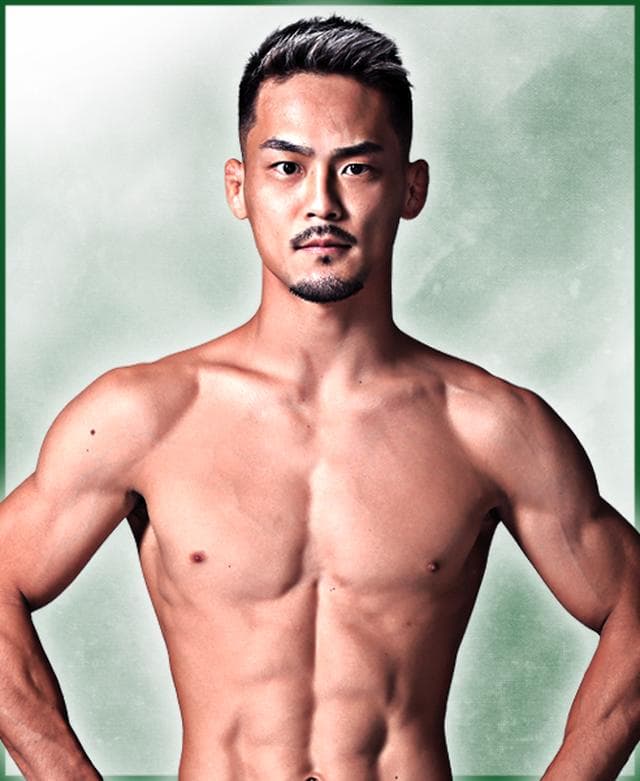 fighter image