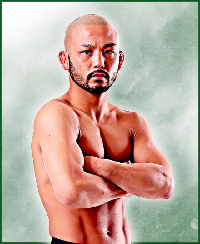 fighter image