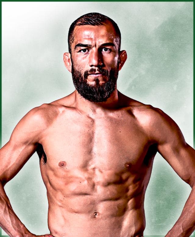 fighter image